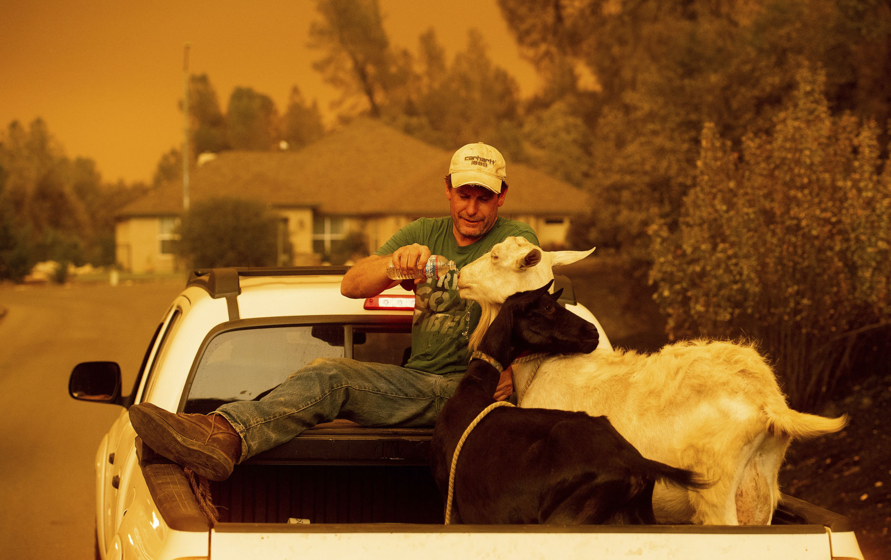 California Wildfires